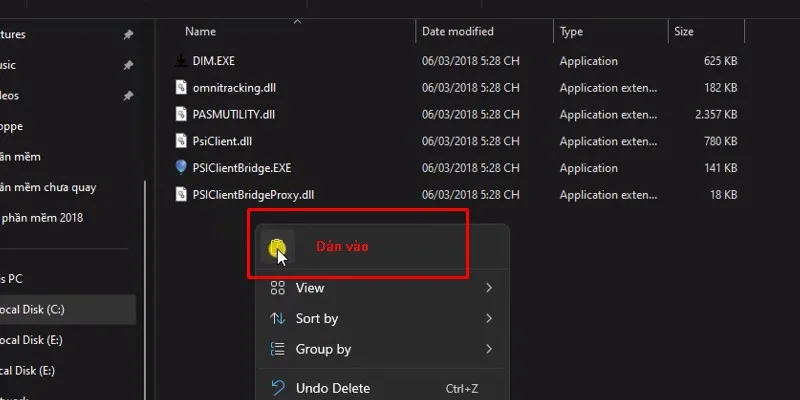 Cài Đặt CorelDRAW 2018 - Hướng Dẫn Đầy Đủ 30 paste vào