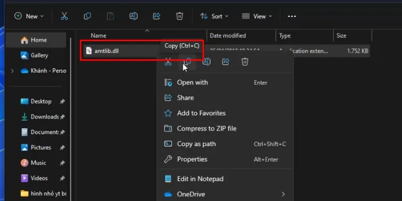 Adobe Audition CS6 Hướng Dẫn Cài Đặt Chi Tiết 19 coppy file như hình nha