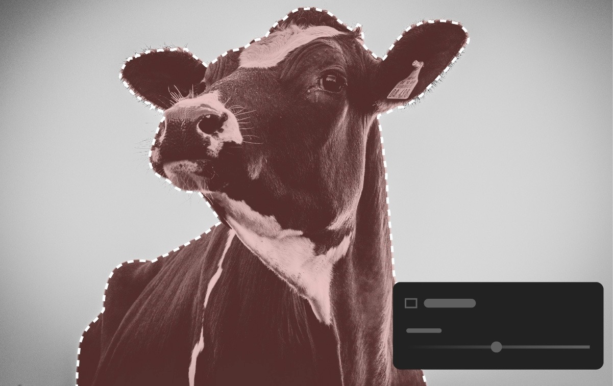 Hỗ trợ máy ảnh và ống kính mới